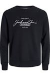 Jack & Jones Jjferrıs Sweat Crew Neck Erkek Siyah Sweat - 12256837