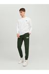 Jack & Jones Jpstgordon Jjnewsoft Sweat Pant Gms Noos Erkek Yeşil Eşofman Altı - 12178421