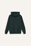 Defacto  Yeşil Erkek Sweatshirt D0850AX/GN536